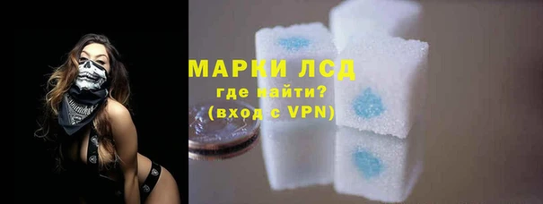 прущие грибы Нефтегорск