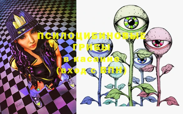 PSILOCYBIN Богданович
