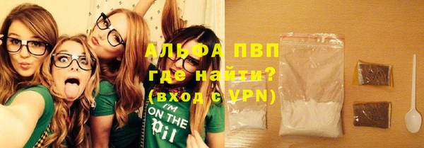 PSILOCYBIN Богданович