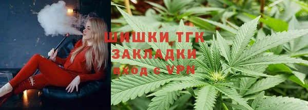 стаф Нея