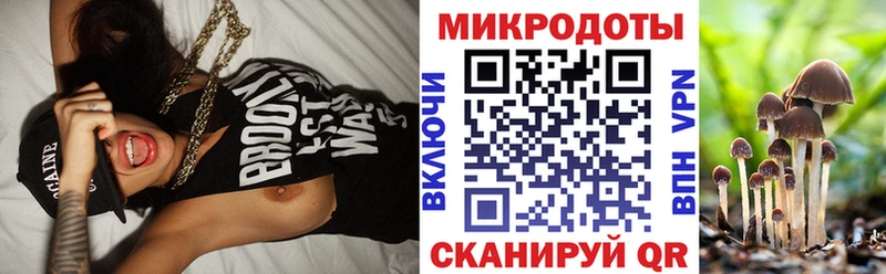 где купить наркотик  Кущёвская  OMG онион  Псилоцибиновые грибы прущие грибы 